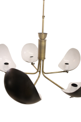 Besa Ahtapot Kol Modern Sarkıt Avize – Kavisli Tasarım Çok Kollu Şık Salon Aydınlatması