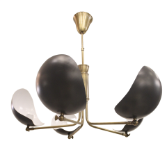 Besa Ahtapot Kol Modern Sarkıt Avize – Kavisli Tasarım Çok Kollu Şık Salon Aydınlatması