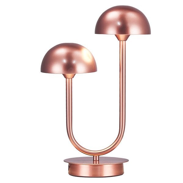 Modern Çift Başlıklı Masa Lambası | Siyah & Bakır Metal Gövdeli Dekoratif Abajur